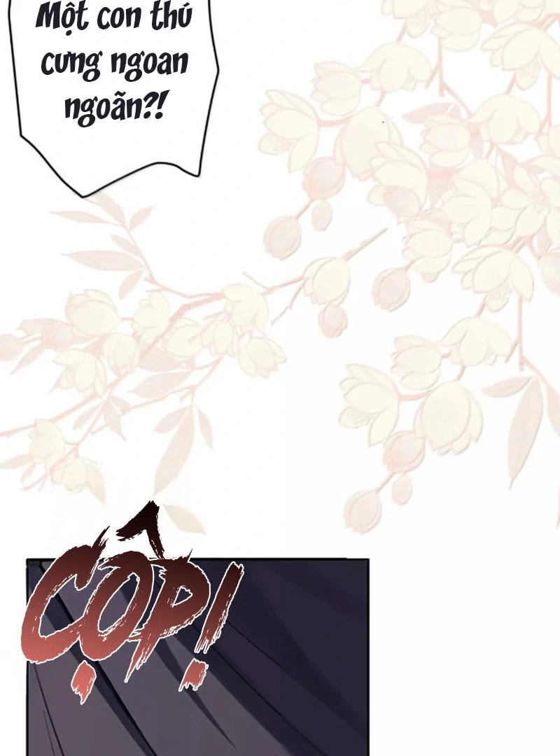 Nuông Chiều Mỹ Nhân Cuồng Nhiệt Chapter 75 - 56