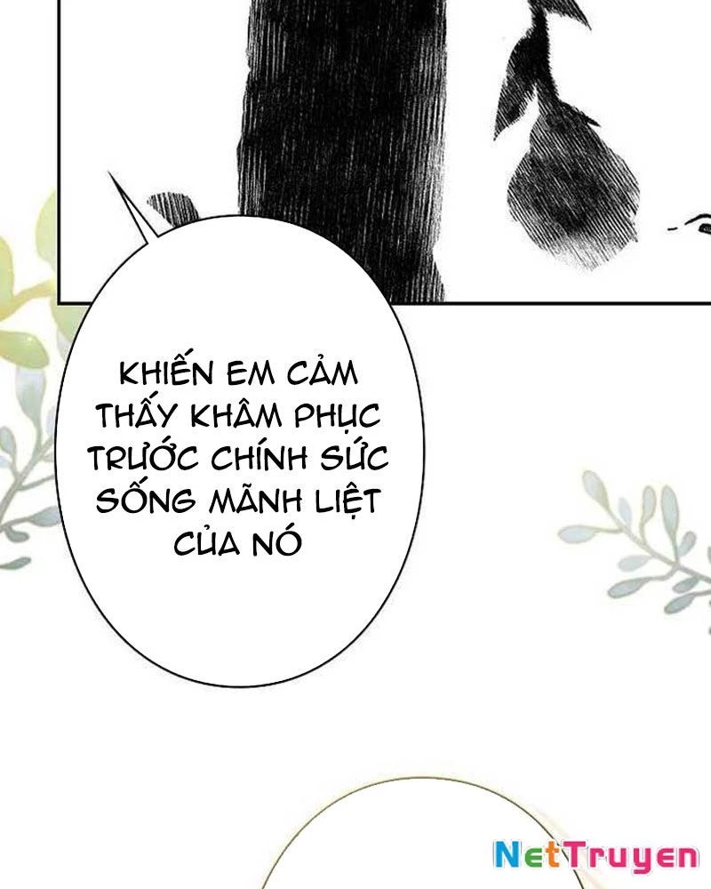 Sự tái sinh của nhà thiết kế tài ba Chapter 30 - 76
