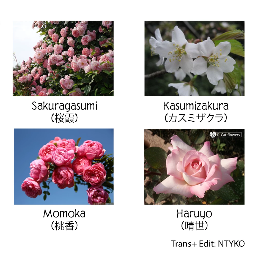 Haikei, Arishi Hi ni Saku Hanatachi e Chapter 2 - 35