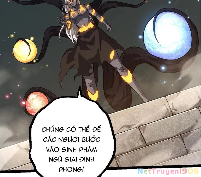 Chuyển Sinh Thành Liễu Đột Biến Chapter 409 - 28