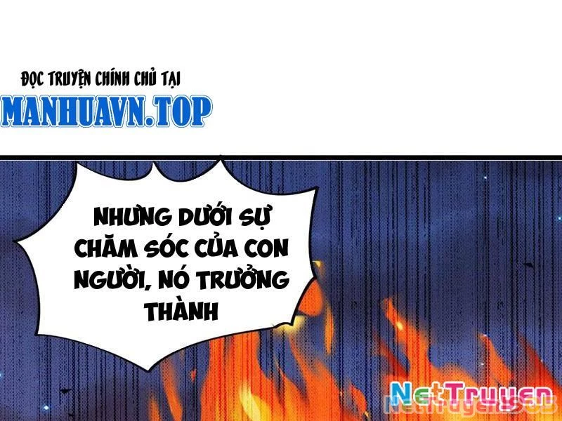 Mạt Thế Cẩu Sinh: Gián Giúp Ta Chồng Buff Chapter 60 - 36