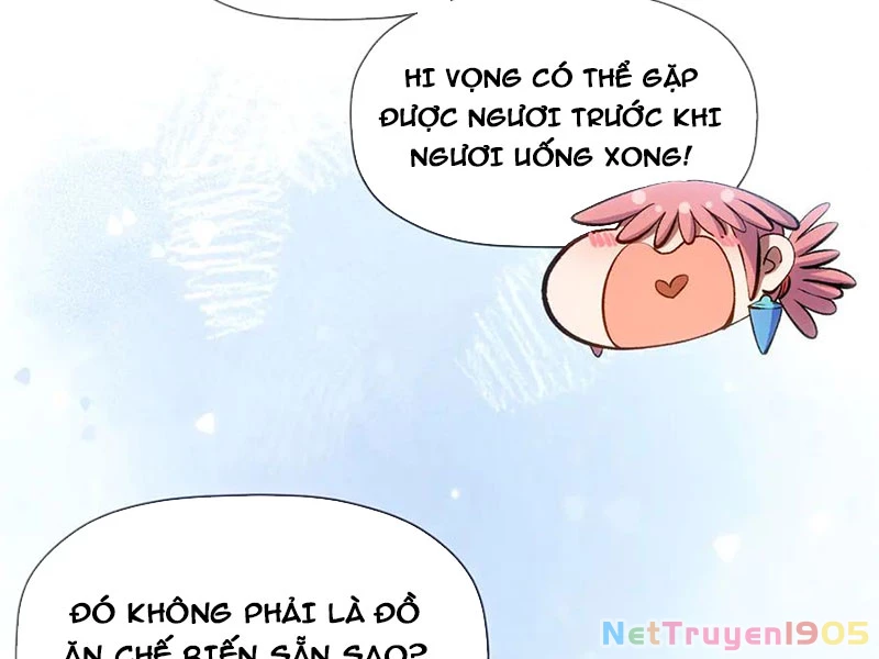 Đỉnh Cấp Khí Vận, Lặng Lẽ Tu Luyện Ngàn Năm Chapter 226 - 71