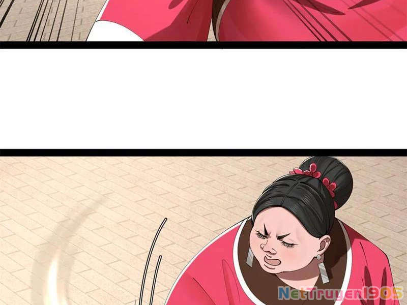 Chàng Rể Mạnh Nhất Lịch Sử Chapter 319 - 25