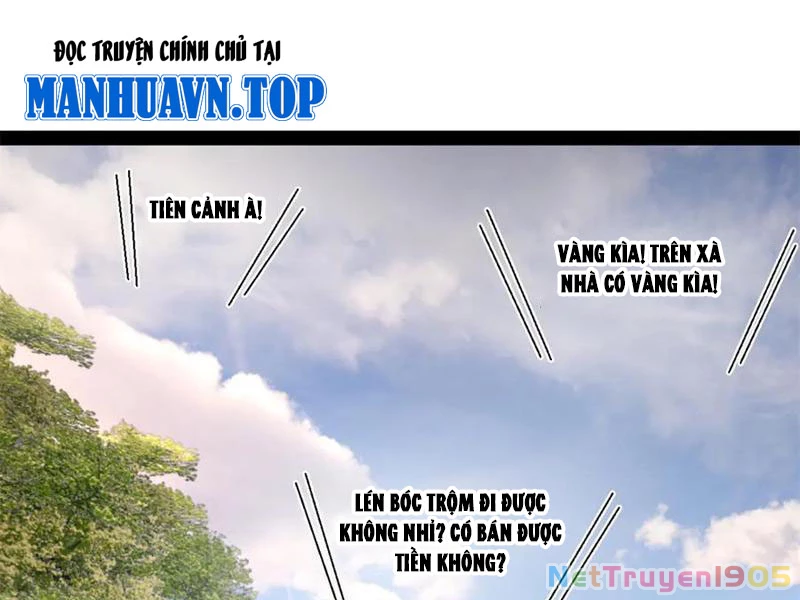 Chàng Rể Mạnh Nhất Lịch Sử Chapter 319 - 112