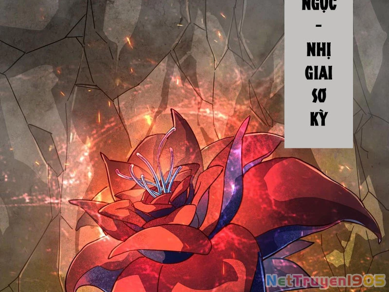 Phủ Thần: Vô Địch Chi Địch Chapter 4 - 63