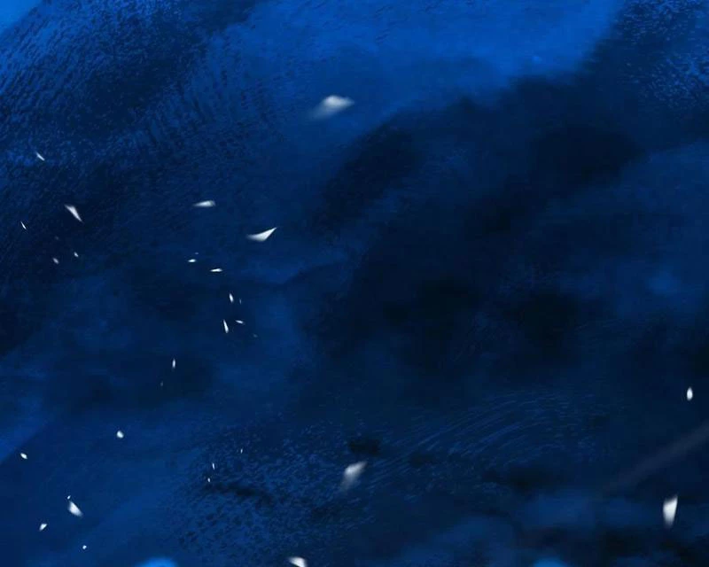 Mệnh Luân Chi Chủ! Khi Dị Biến Giáng Lâm Nhân Gian! Chapter 144 - 63
