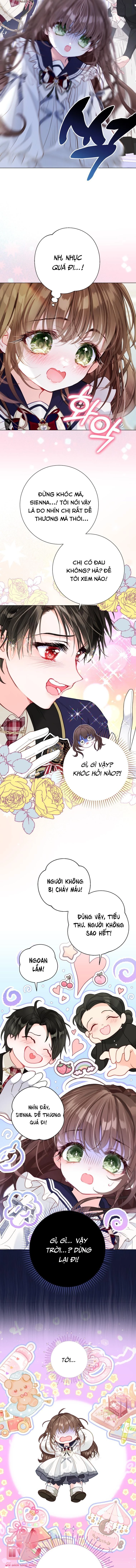 Một Thế Giới Không Có Chị Gái Mà Ai Cũng Yêu Chapter 35 - 8