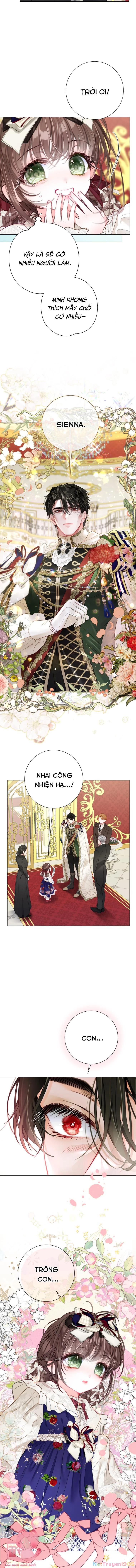 Một Thế Giới Không Có Chị Gái Mà Ai Cũng Yêu Chapter 36 - 9