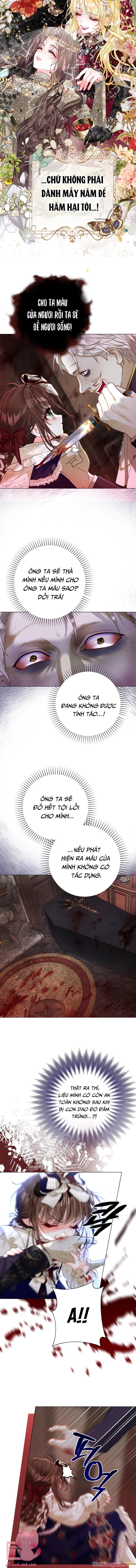 Một Thế Giới Không Có Chị Gái Mà Ai Cũng Yêu Chapter 38 - 9