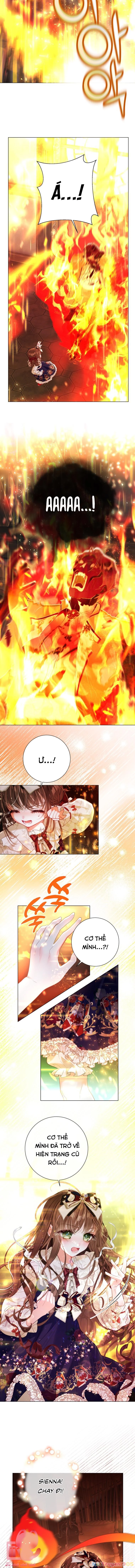 Một Thế Giới Không Có Chị Gái Mà Ai Cũng Yêu Chapter 38 - 11