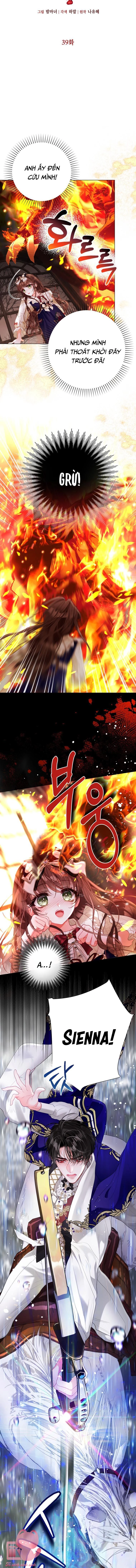Một Thế Giới Không Có Chị Gái Mà Ai Cũng Yêu Chapter 39 - 2