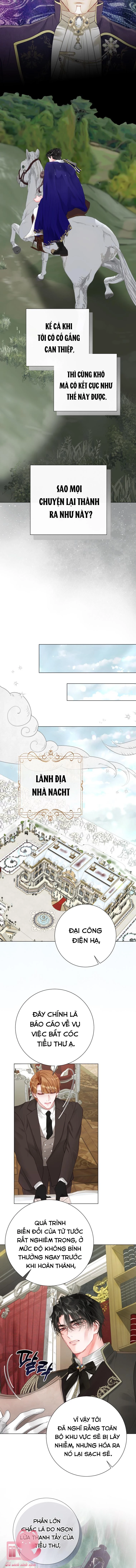 Một Thế Giới Không Có Chị Gái Mà Ai Cũng Yêu Chapter 39 - 11