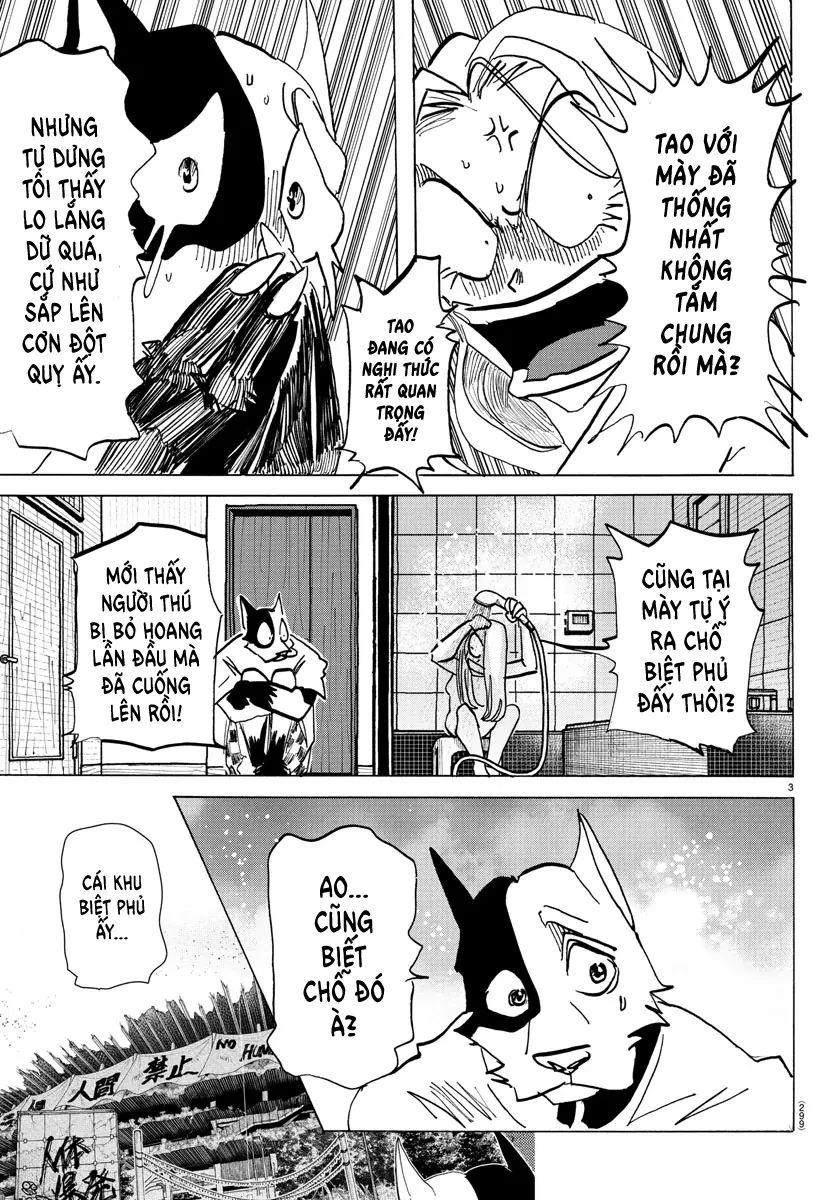 Lý Trí Của Taika Chapter 28 - 3
