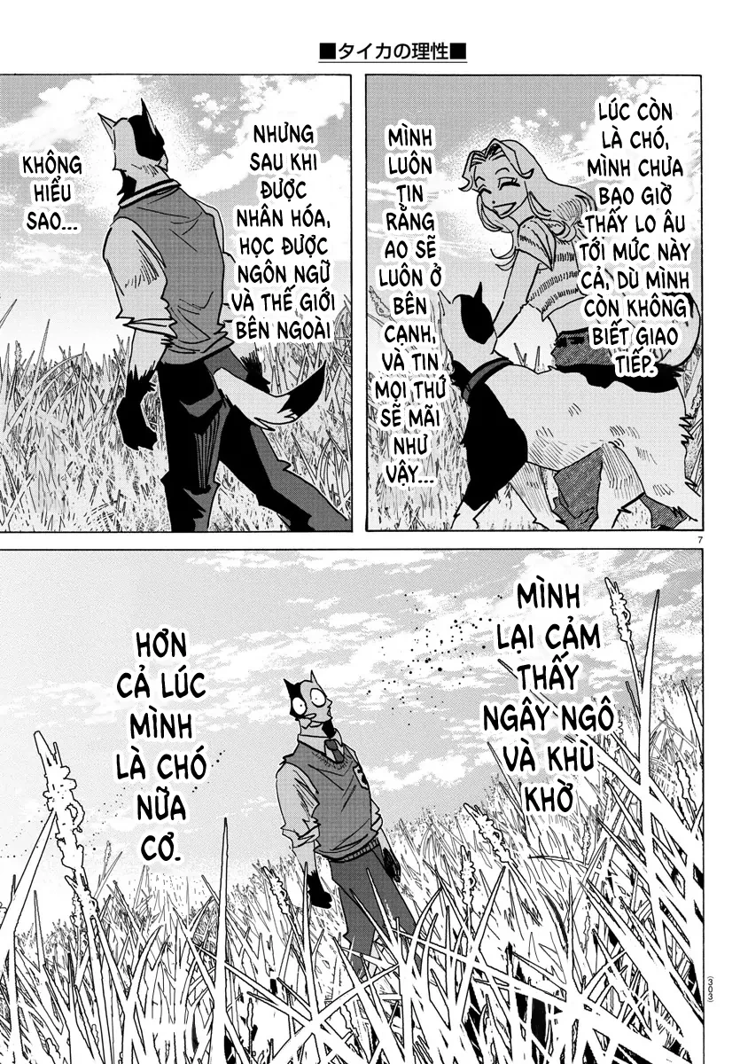 Lý Trí Của Taika Chapter 28 - 7