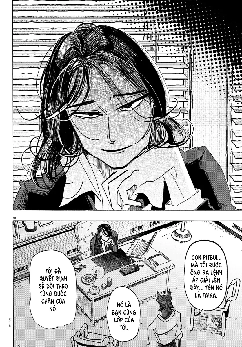 Lý Trí Của Taika Chapter 28 - 17