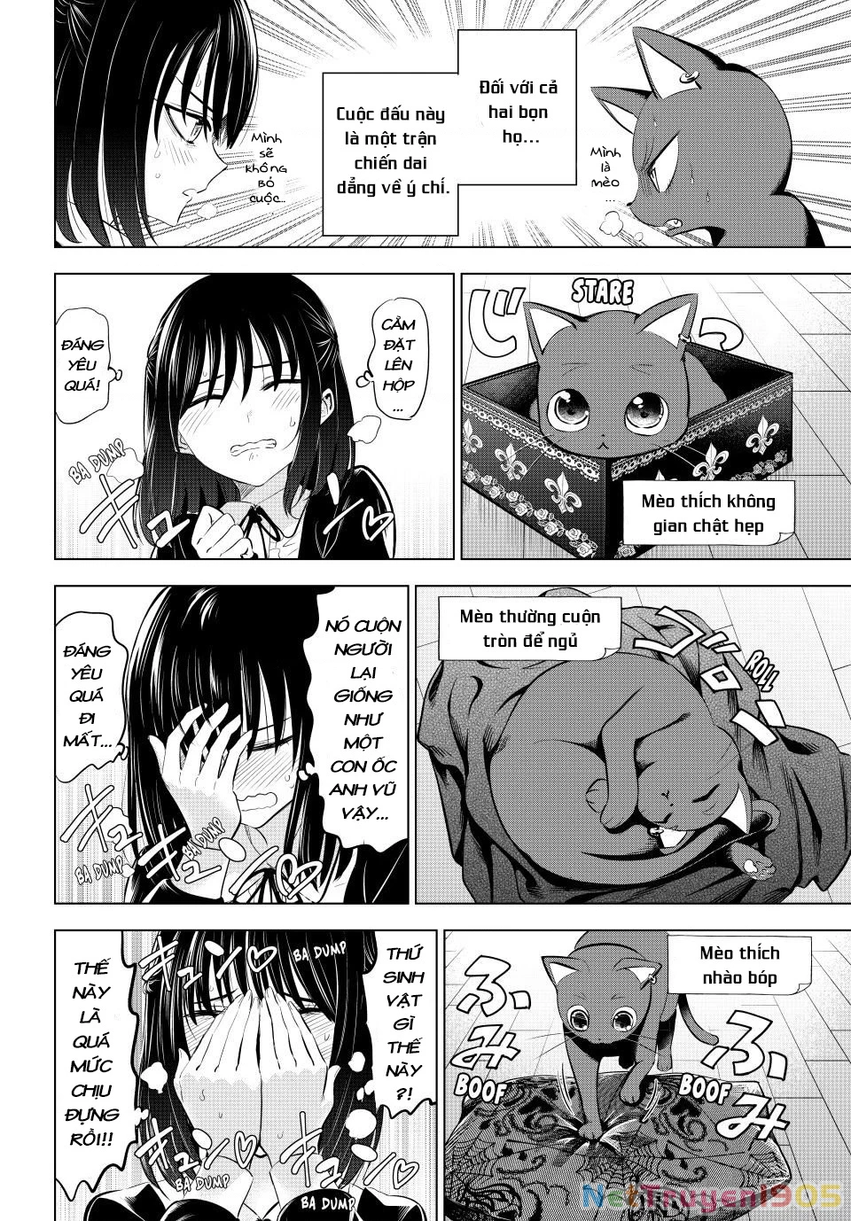 Hắc Miêu Và Lớp Học Phù Thủy Chapter 61 - 18