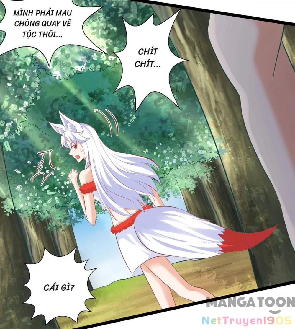 Thú Thế Cuồng Phi: Bất Đương Dị Giới Nữ Hải Vương Chapter 102 - 8