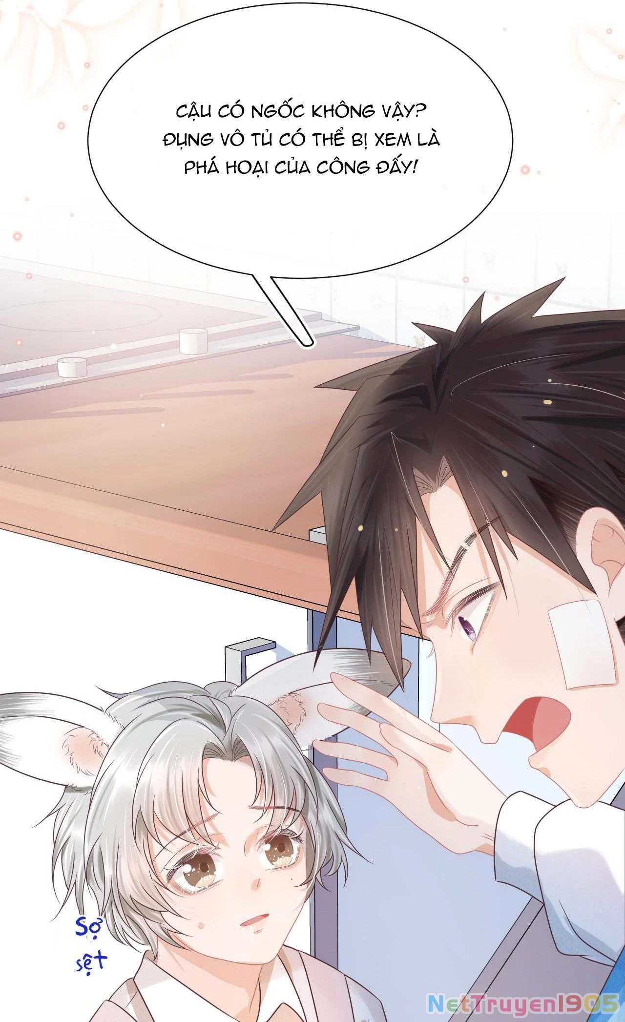 [SS2] Một Ngụm Ăn Cả Thỏ Con Chapter 10 - 43