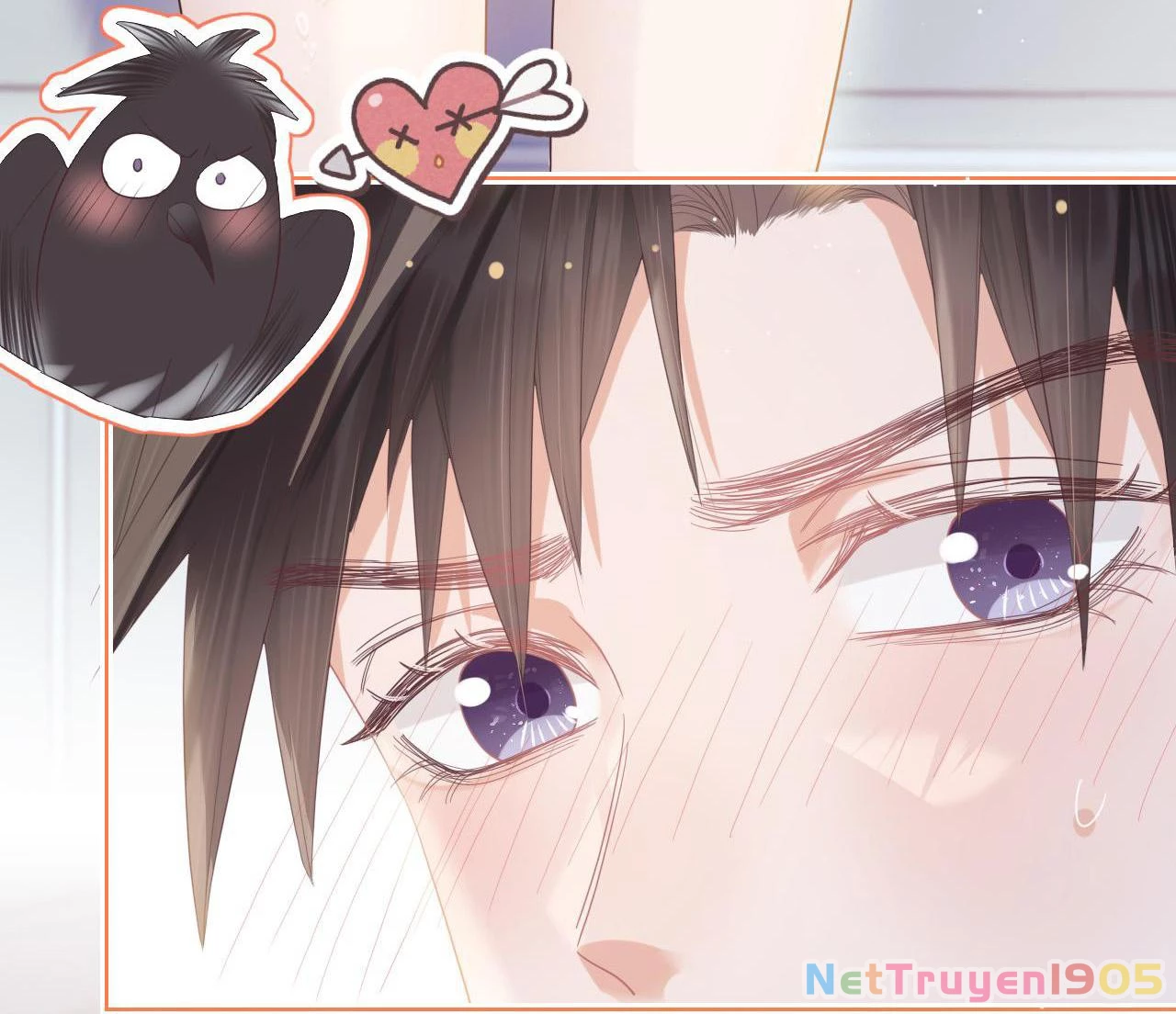 [SS2] Một Ngụm Ăn Cả Thỏ Con Chapter 12 - 12