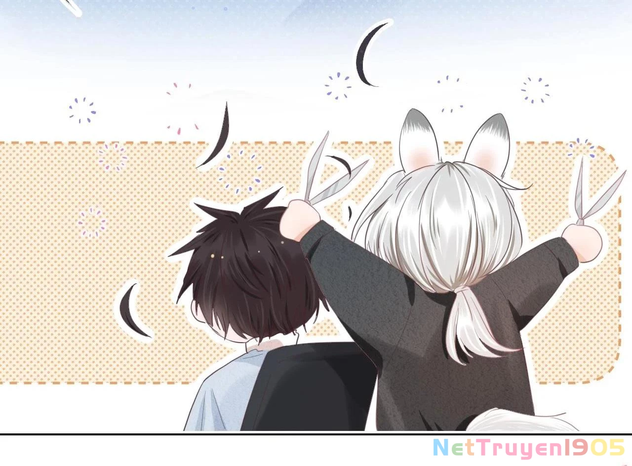 [SS2] Một Ngụm Ăn Cả Thỏ Con Chapter 13 - 50