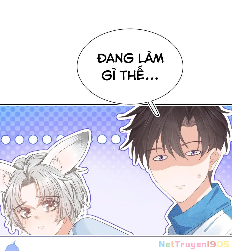 [SS2] Một Ngụm Ăn Cả Thỏ Con Chapter 20 - 31