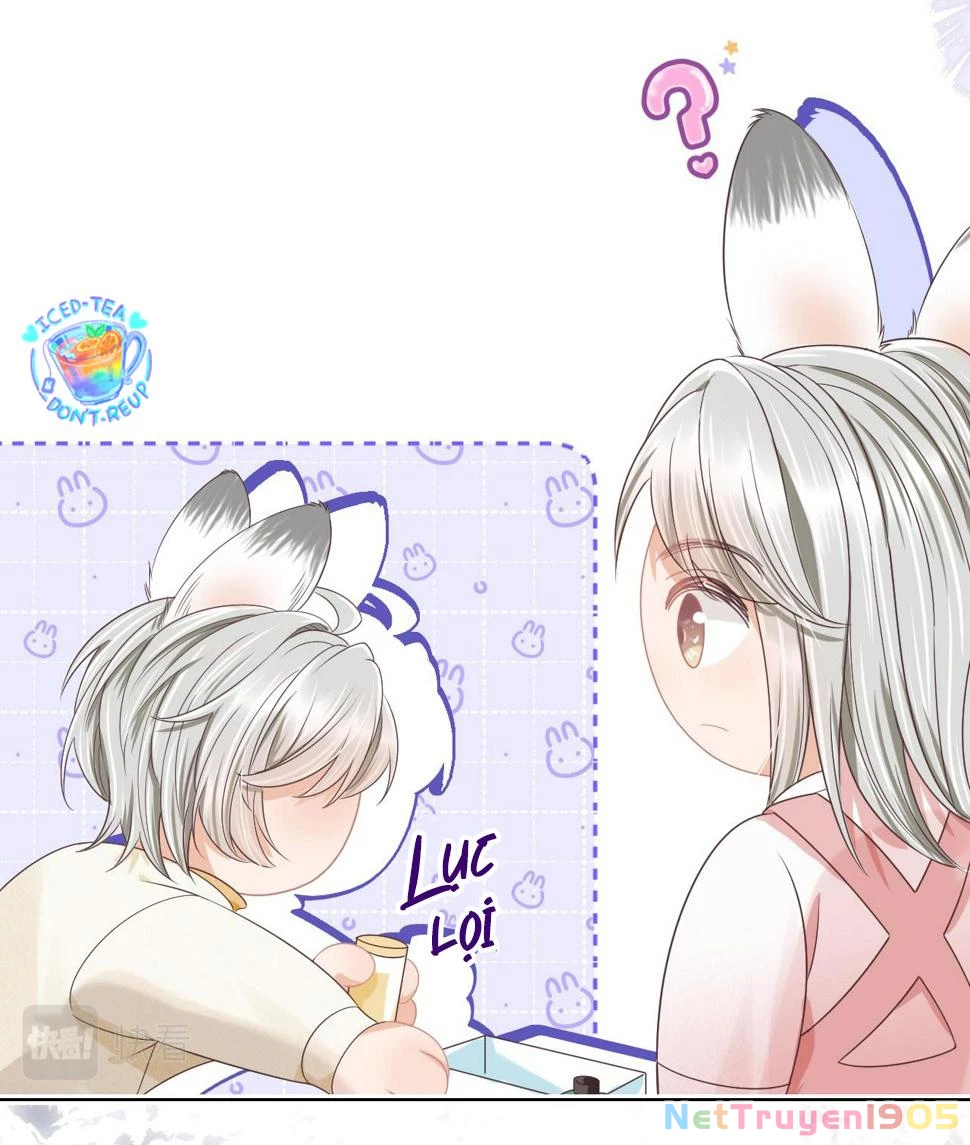 [SS2] Một Ngụm Ăn Cả Thỏ Con Chapter 23 - 19