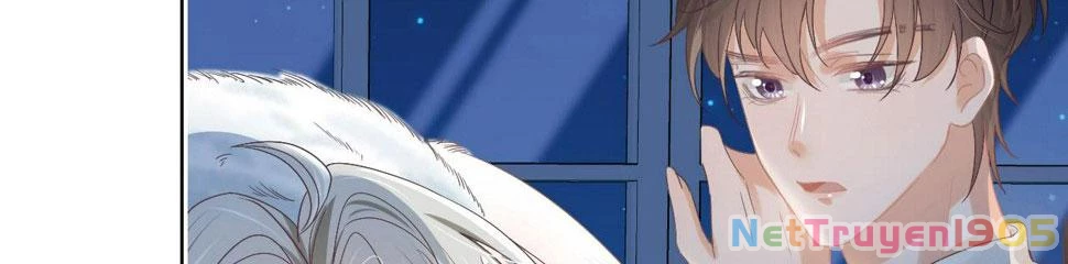 [SS2] Một Ngụm Ăn Cả Thỏ Con Chapter 24 - 25