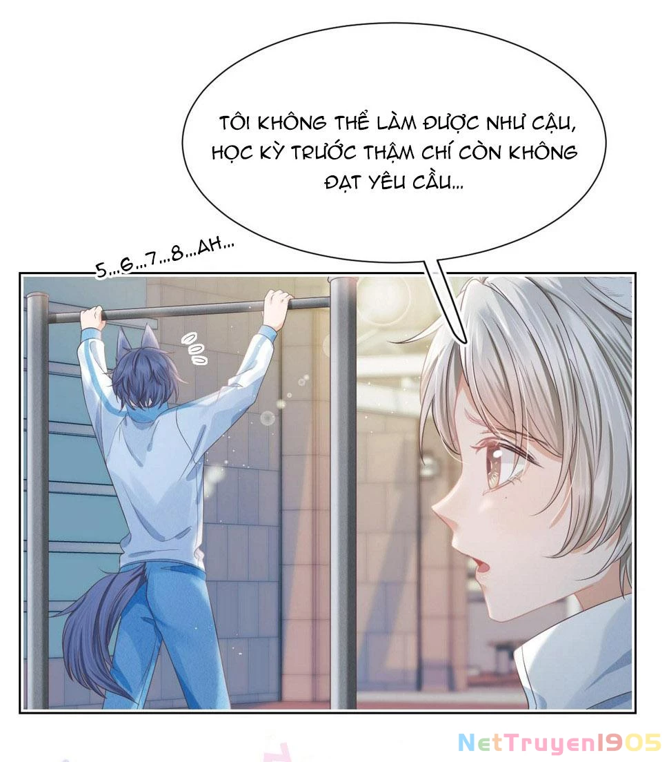 [SS2] Một Ngụm Ăn Cả Thỏ Con Chapter 26 - 4