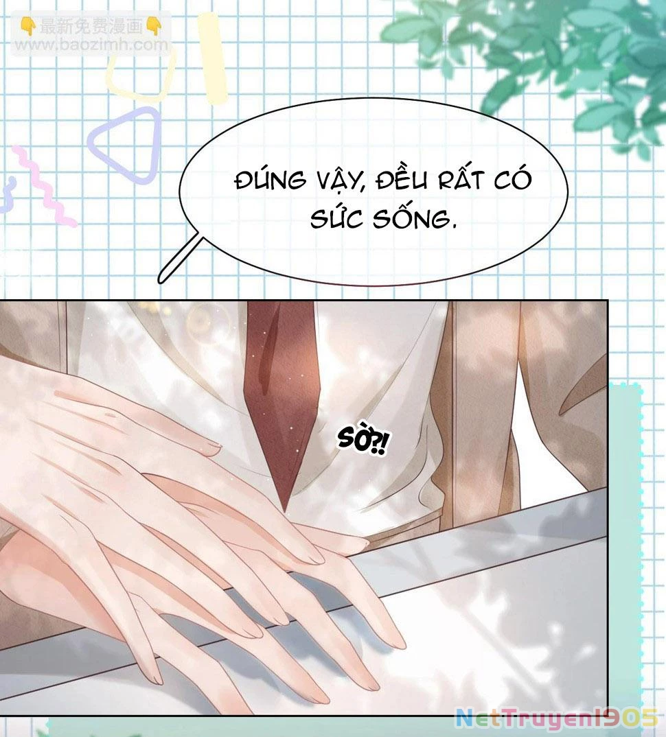 [SS2] Một Ngụm Ăn Cả Thỏ Con Chapter 26 - 20