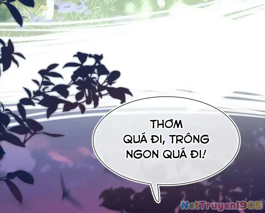 [SS2] Một Ngụm Ăn Cả Thỏ Con Chapter 48 - 21