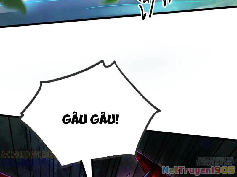 Tinh Thú Sư Mạnh Nhất Chapter 21 - 39