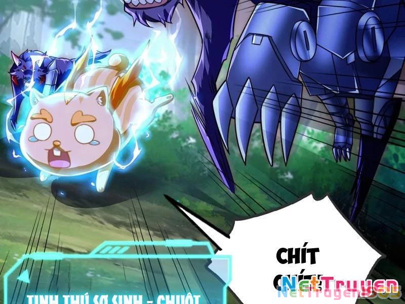 Tinh Thú Sư Mạnh Nhất Chapter 21 - 41