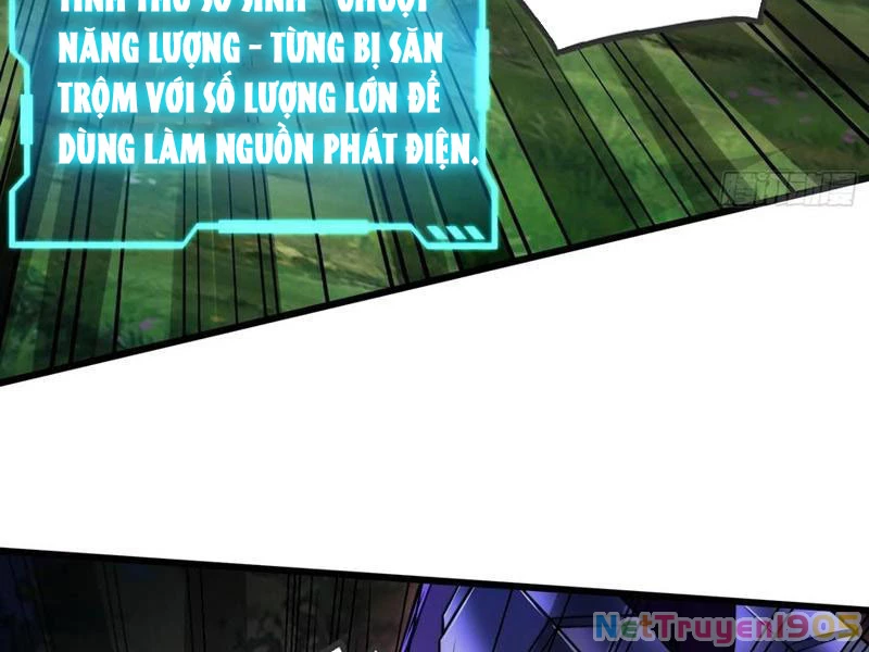 Tinh Thú Sư Mạnh Nhất Chapter 21 - 42