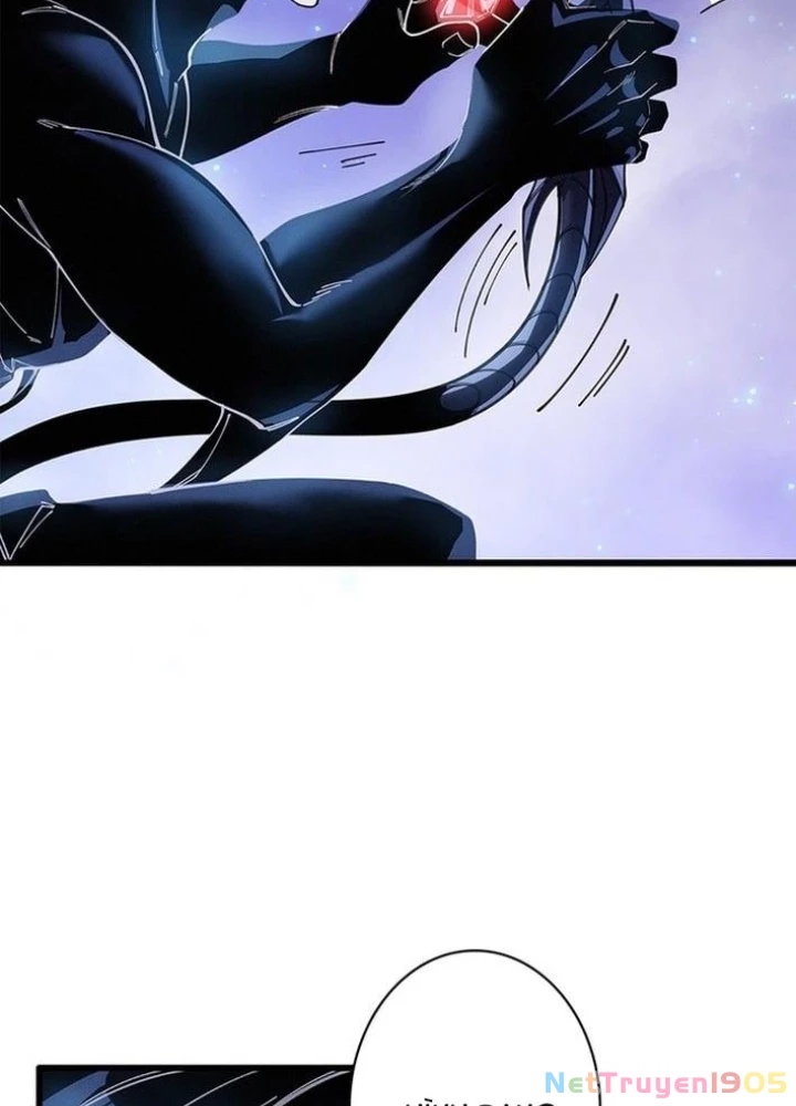 Ranker SSS Được Chọn Chapter 25 - 9