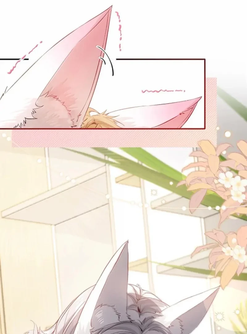 Sói Tiểu Thư Và Em Gái Hồ Ly Của Tôi Chapter 70.7 - 23