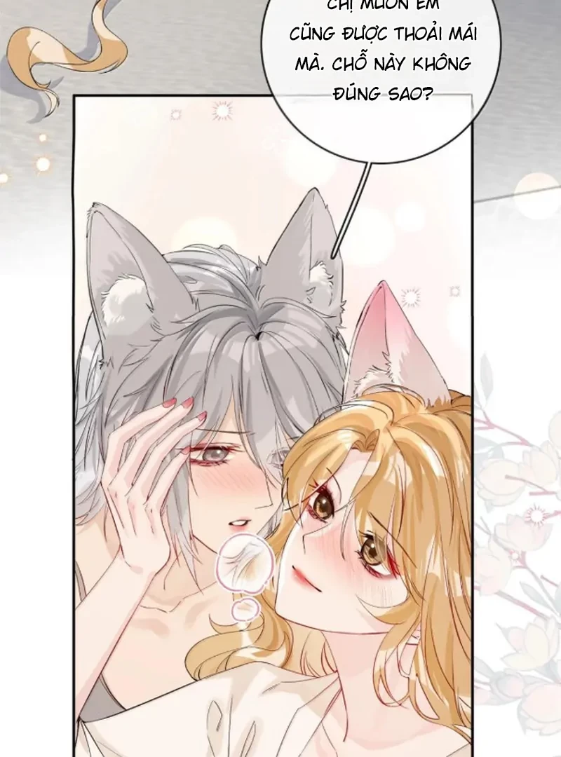 Sói Tiểu Thư Và Em Gái Hồ Ly Của Tôi Chapter 70.7 - 29