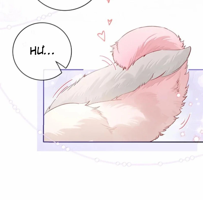 Sói Tiểu Thư Và Em Gái Hồ Ly Của Tôi Chapter 70.7 - 33