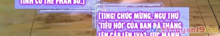Bắt đầu chuyển chức tài thần, ta chuyển hóa triệu vạn thần sủng Chapter 37 - 4