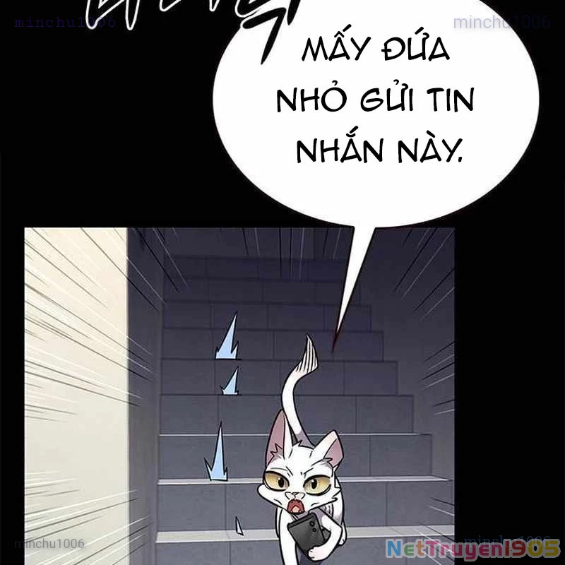Hoá Thân Thành Mèo Chapter 362 - 37