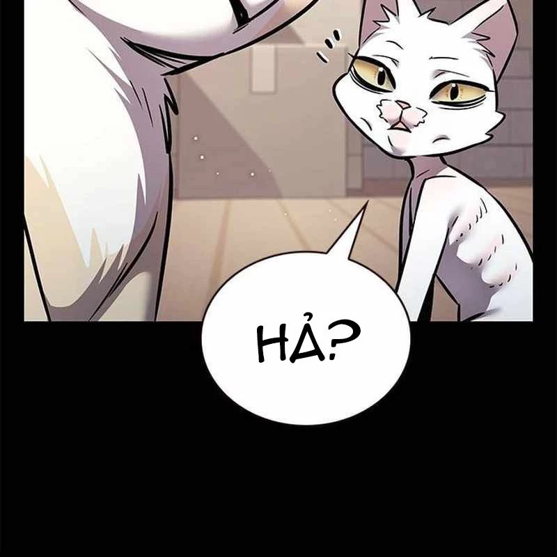 Hoá Thân Thành Mèo Chapter 362 - 49
