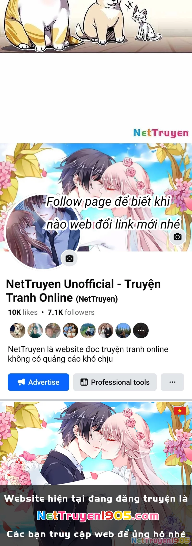 Hoá Thân Thành Mèo Chapter 362 - 206