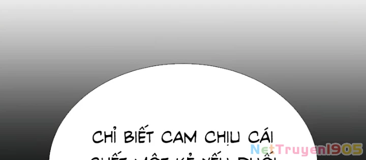 Sát Thủ Peter Chapter 104.1 - 142