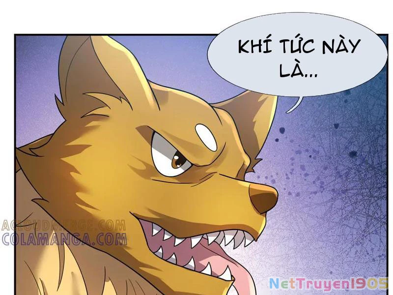 Thu triệu vạn đồ đệ, vi sư vô địch thế gian Chapter 195 - 5