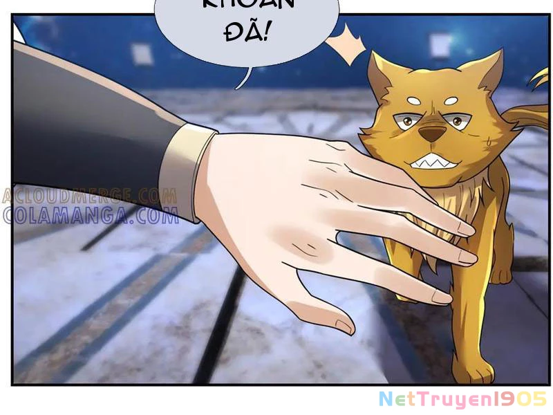 Thu triệu vạn đồ đệ, vi sư vô địch thế gian Chapter 195 - 37