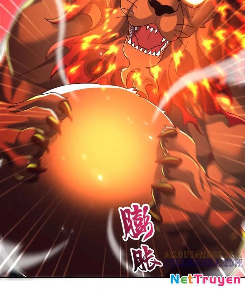 Bắt Đầu Chấn Kinh Nữ Đế Lão Bà, Ta Vô Địch! Chapter 87 - 61