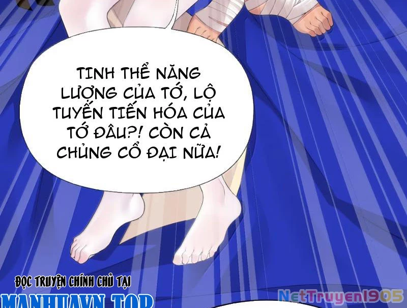 Xong rồi, ta bị sủng thú của mình bao vây rồi! Chapter 24 - 35