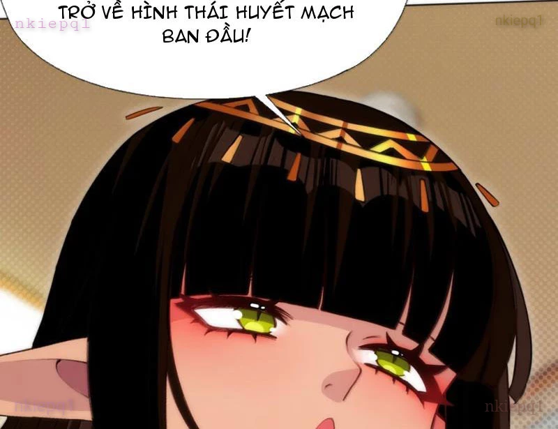 Xong rồi, ta bị sủng thú của mình bao vây rồi! Chapter 24 - 52