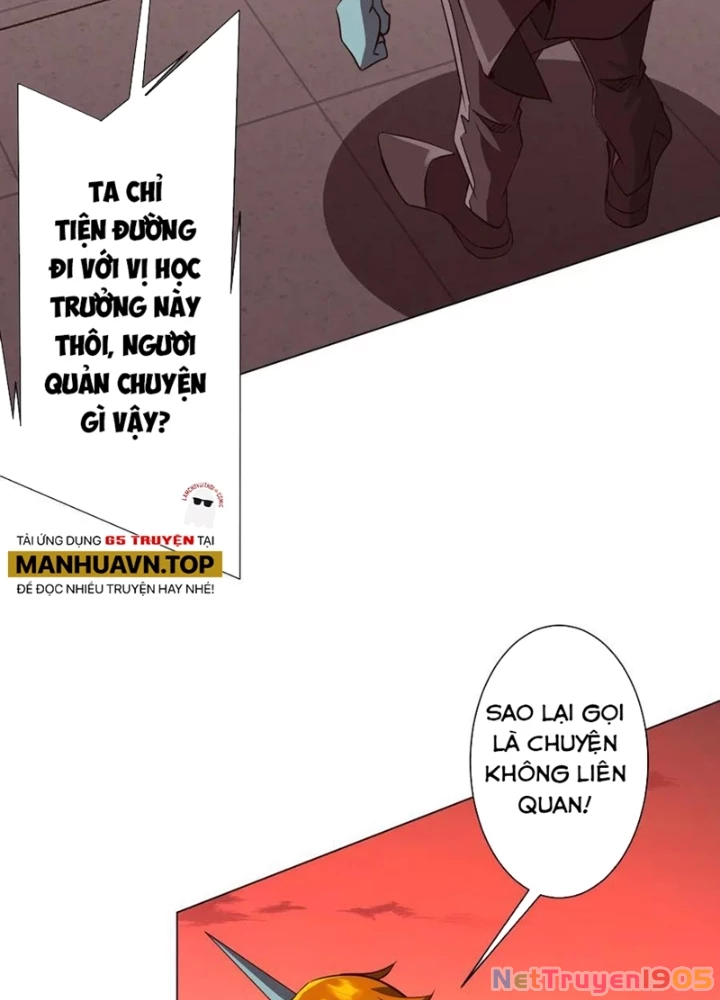 Bắt Đầu Với Trăm Vạn Minh Tệ Chapter 260 - 3