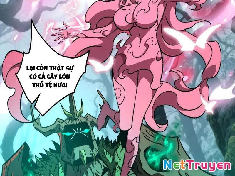 Tai Ách Cấp Mục Sư Chapter 55 - 16