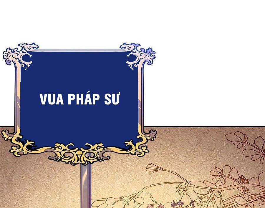 Tôi May Mắn Triệu Hồi Được Tinh Linh Hộ Vệ Hạng 10 Chapter 13 - 135